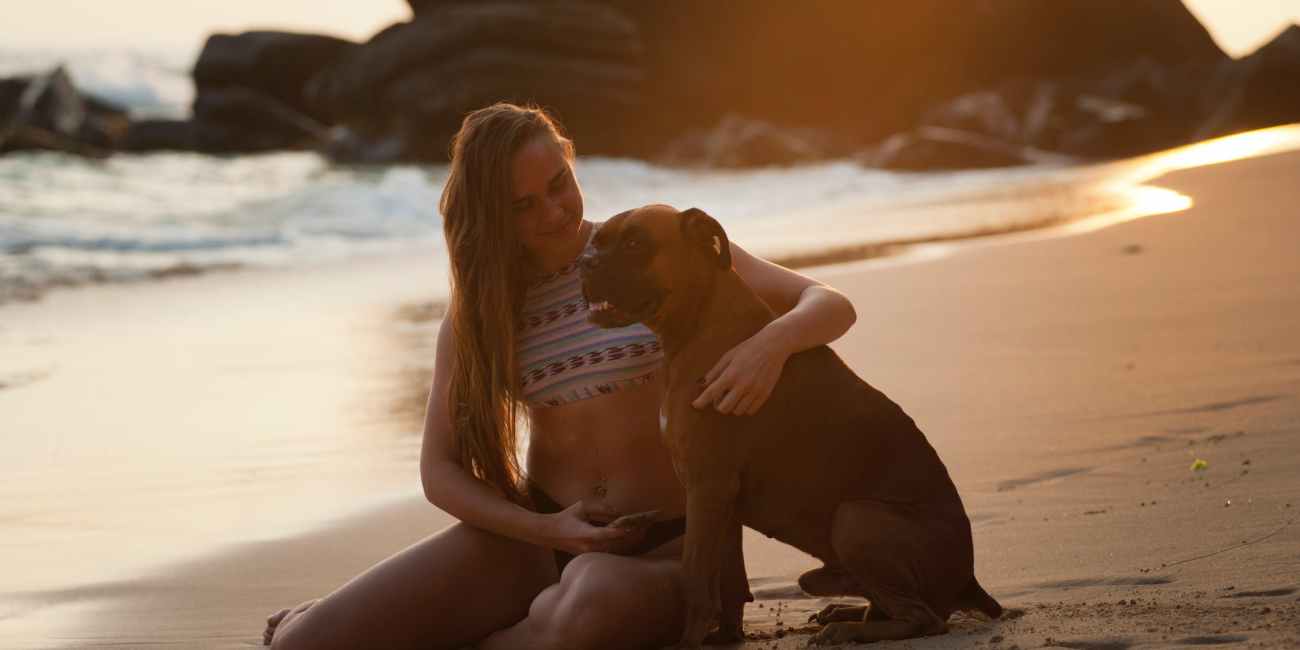 chien-plage