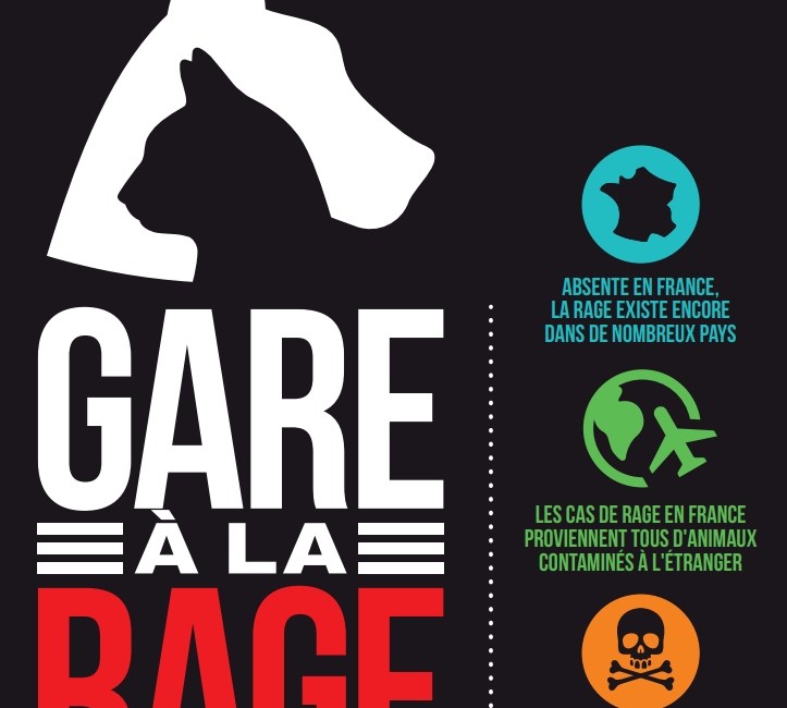 Gare à la rage