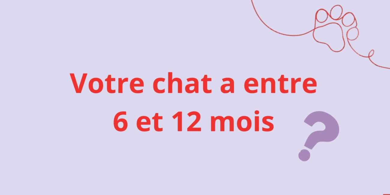 Votre chiot a entre 6 et 12 mois? Vidéo salle d'attente chien campagne "animal adolescent"